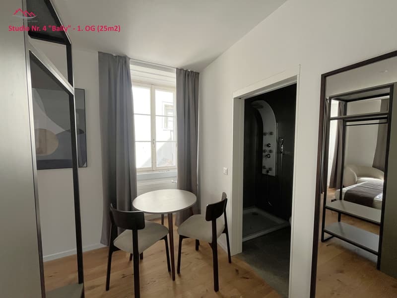 small studio with a table and chairs, separate shower, bed in the background
