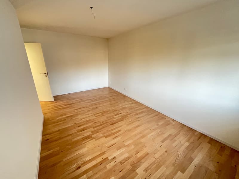 empty room, wooden floor, white walls, closed door