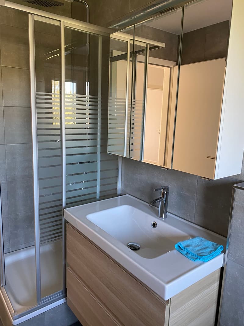 3.0-Zimmer-Wohnung mit Balkon und Stadtblick in Olten (4)