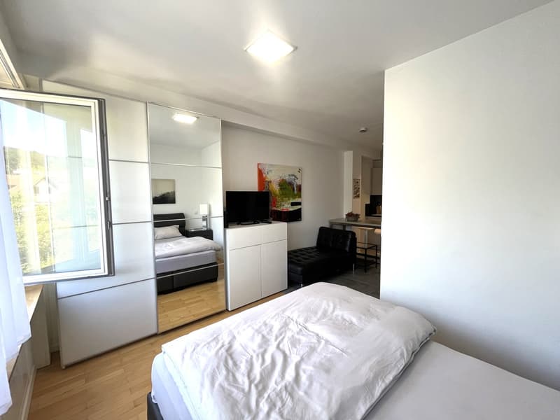 Möbliertes Studio-Apartment in Olten zu vermieten (7)
