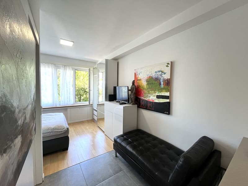 Möbliertes Studio-Apartment in Olten zu vermieten (6)