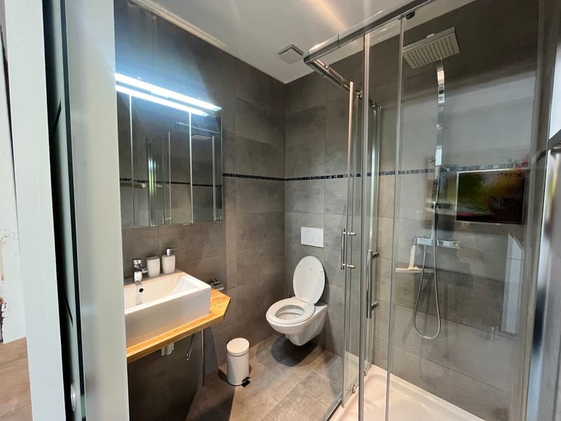 Möbliertes Studio-Apartment in Olten zu vermieten (5)