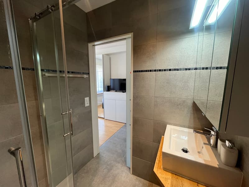Möbliertes Studio-Apartment in Olten zu vermieten (4)