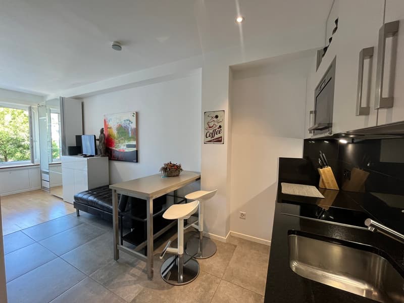 Möbliertes Studio-Apartment in Olten zu vermieten (3)