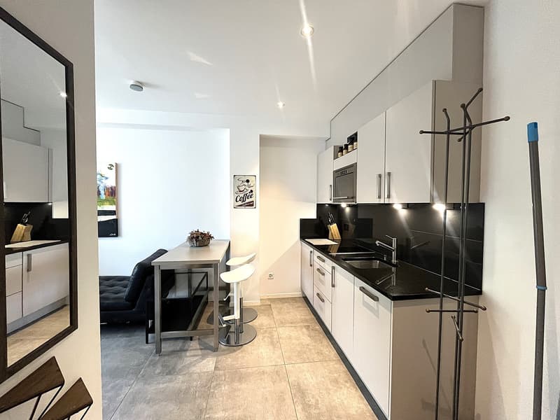 Möbliertes Studio-Apartment in Olten zu vermieten (2)