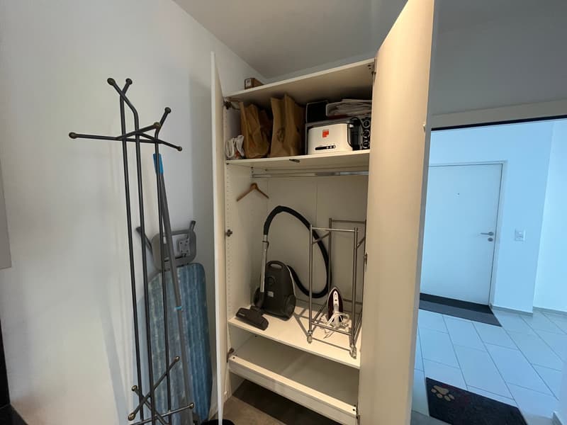 Möbliertes Studio-Apartment in Olten zu vermieten (12)