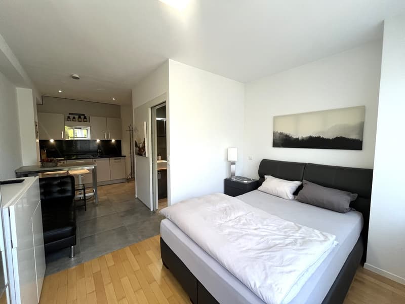 Möbliertes Studio-Apartment in Olten zu vermieten (8)