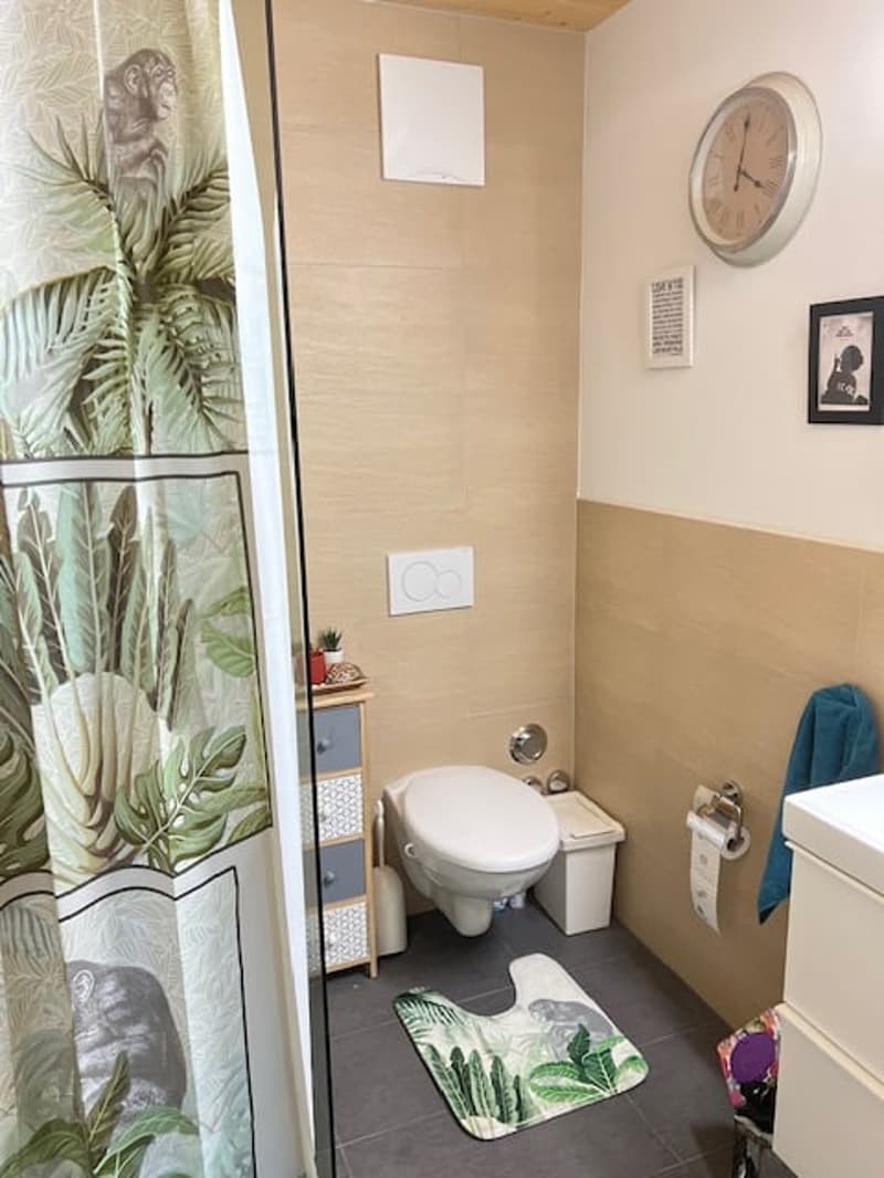 2.5 Zimmerwohnung in Watt zu vermieten! (7)