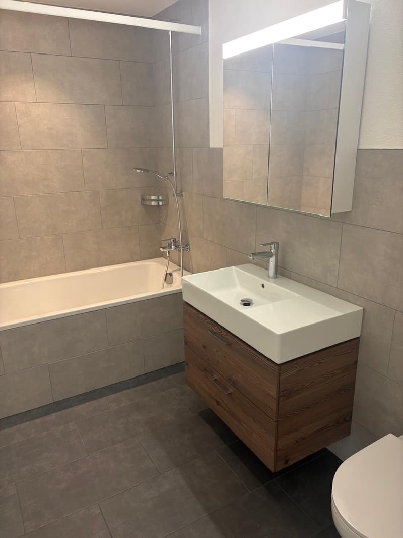 Moderne 2.5-Zimmer-Wohnung mit grossem Balkon und Weitsicht in Egliswil (2)