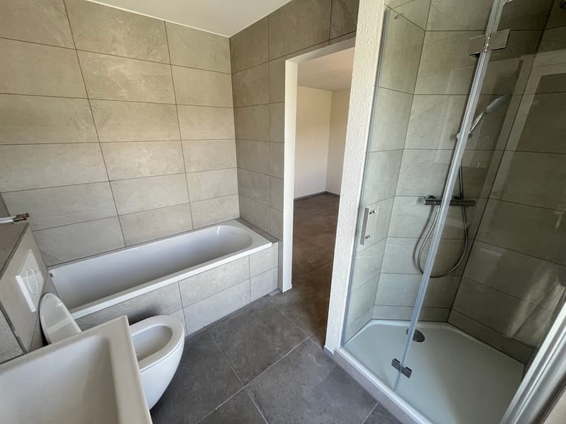 Erstbezug nach Totalsanierung – moderne 2.5-Zimmer-Attikawohnung mit 2 grossen Terrassen in Olten (5)