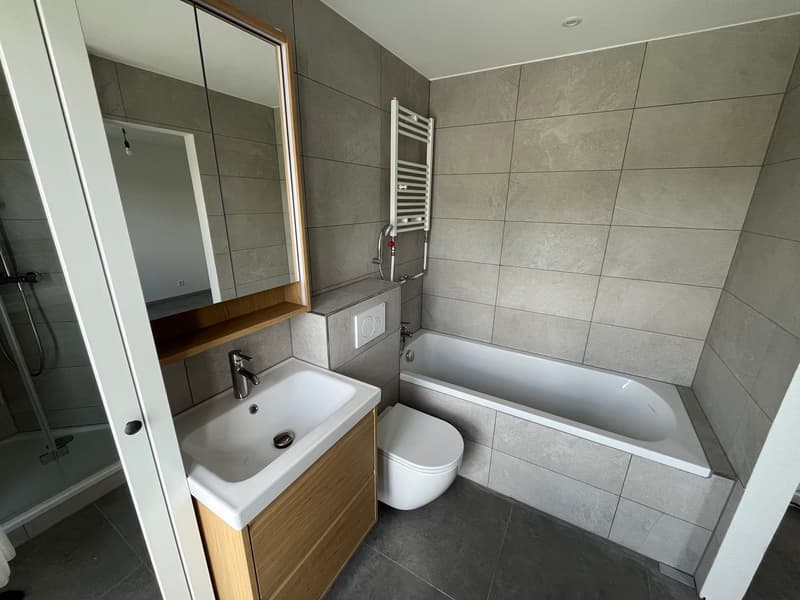 Erstbezug nach Totalsanierung – moderne 2.5-Zimmer-Attikawohnung mit 2 grossen Terrassen in Olten (6)