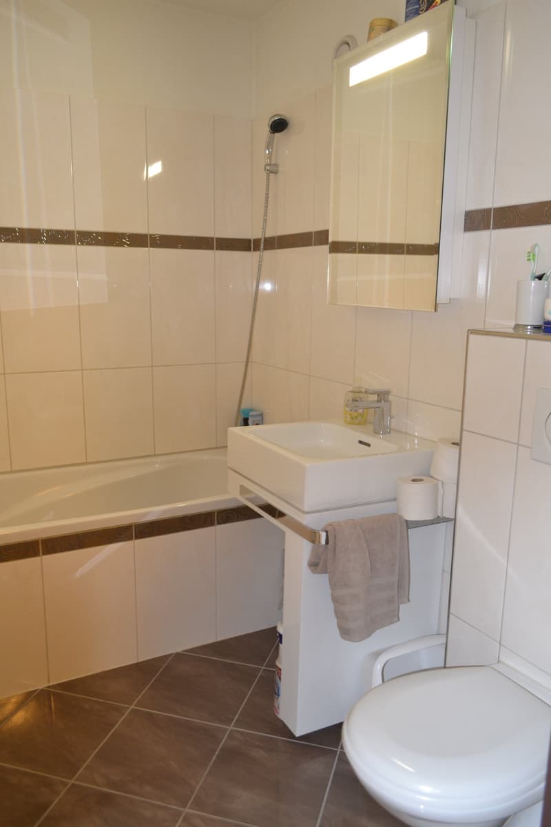 Helle & moderne 3.5-Zimmer-Wohnung in Aarau zu vermieten (3)