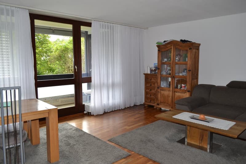 Helle & moderne 3.5-Zimmer-Wohnung in Aarau zu vermieten (4)