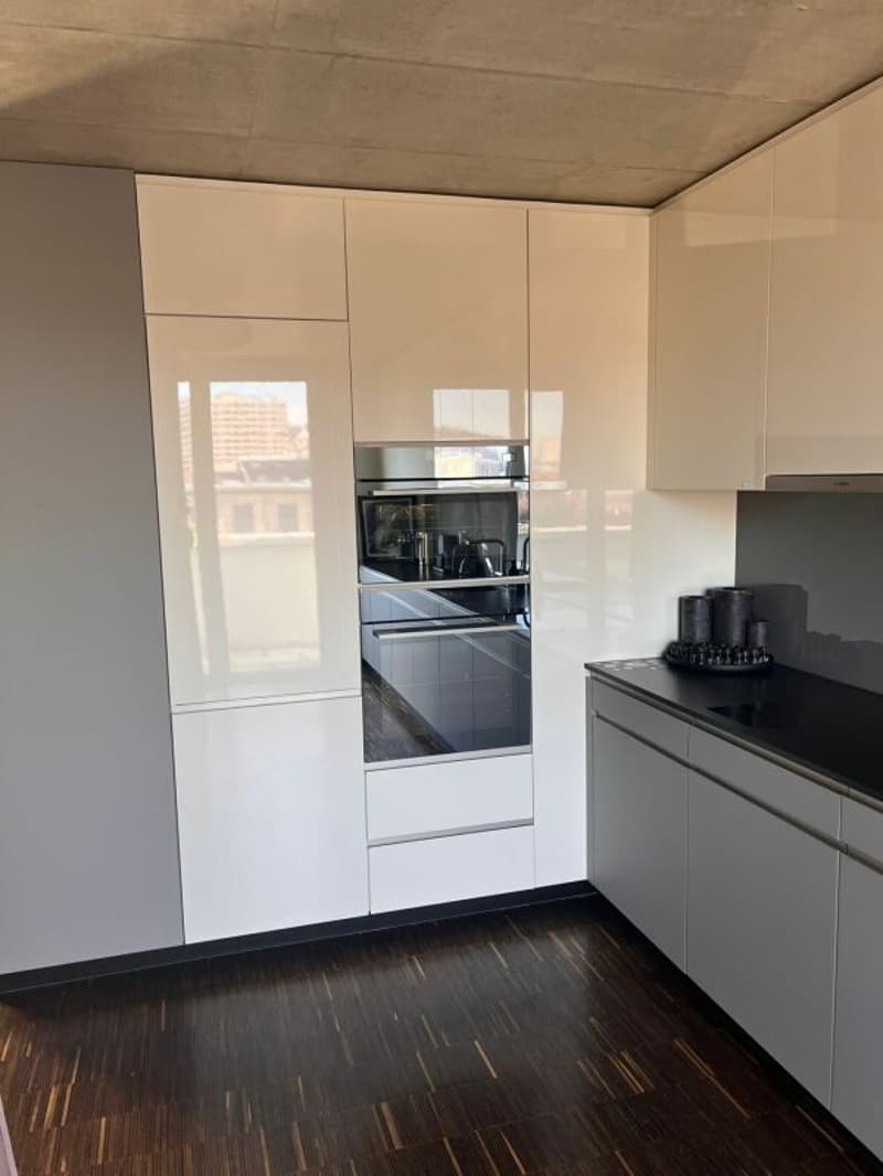 3.5 Zimmer-Attikawohnung in Gehdistanz zum Hauptbahnhof Winterthur (7)