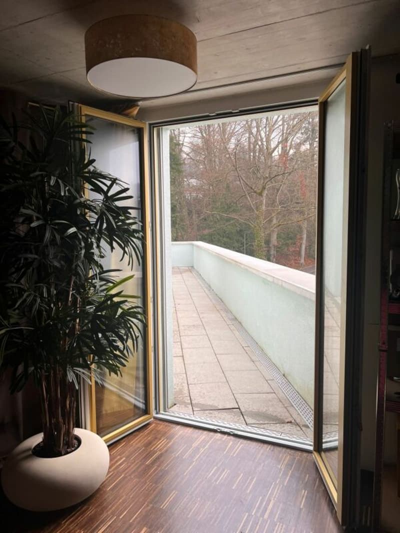 3.5 Zimmer-Attikawohnung in Gehdistanz zum Hauptbahnhof Winterthur (12)