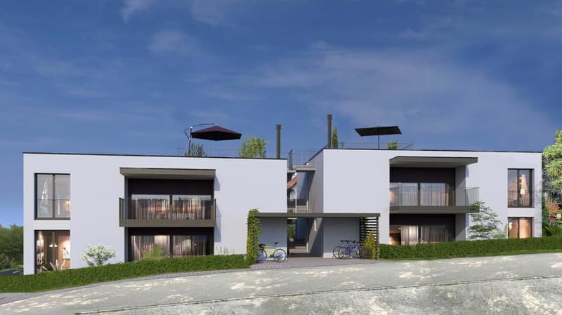 4.5 Zimmer-Gartenwohnung in Winterthur-Wülflingen (5)