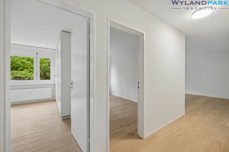 sanierte 4.0-Zimmerwohnung mit grossem Balkon an zentraler Lage (1.OG) (13)