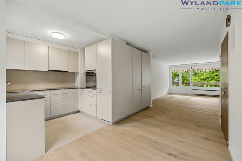 sanierte 4.0-Zimmerwohnung mit grossem Balkon an zentraler Lage (1.OG) Kopie (1)