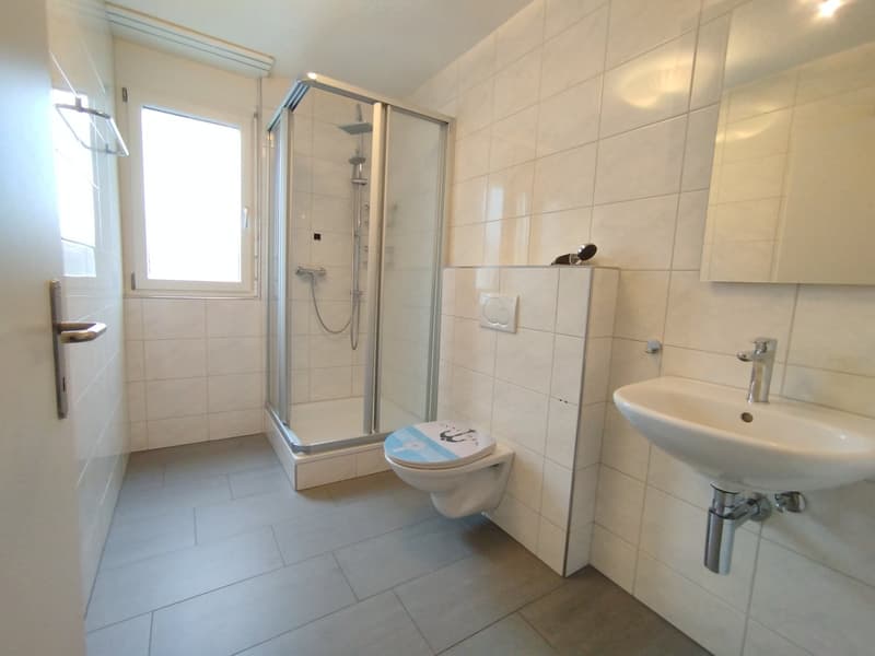 Grosse 5.5-Zimmer-Maisonette-Wohnung (13)