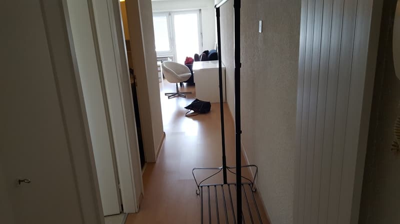 Urban wohnen mit schöner Aussicht - Charmante 1-Zimmer-Wohnung im 5. OG im Herzen von Olten (4)