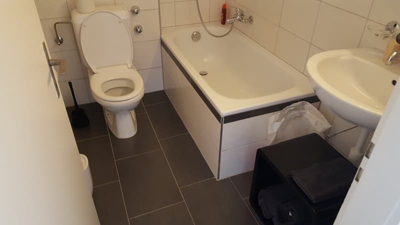Urban wohnen mit schöner Aussicht - Charmante 1-Zimmer-Wohnung im 5. OG im Herzen von Olten (5)