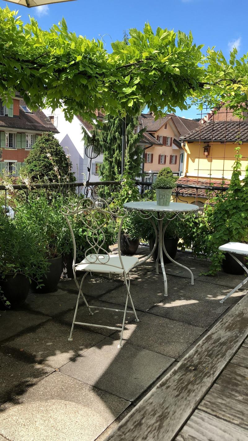 Terrace area with table and chair, covered by green tree branches, multiple potted plants, shadowed floor