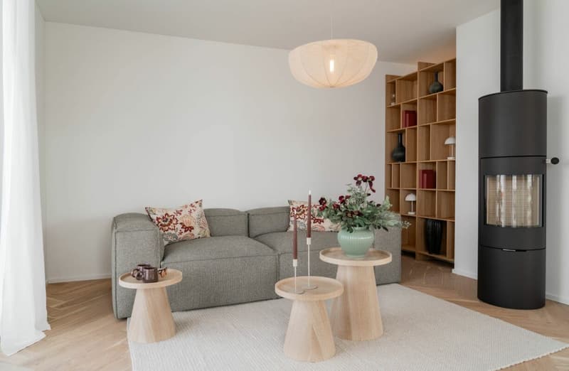 4.5-Zi-Attika-Wohnung (5)