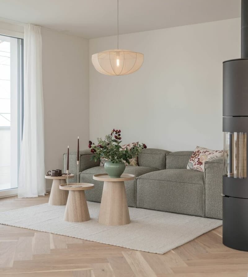 4.5-Zi-Attika-Wohnung (6)