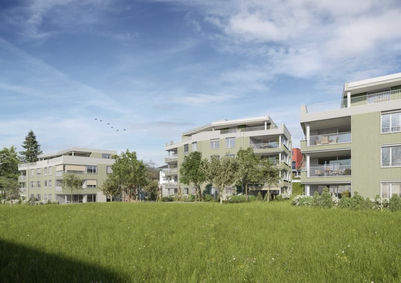 3.5-Zi-Gartenwohnung Murhubel Triengen (2)