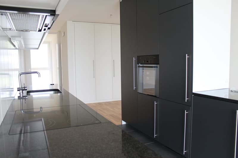 4 1/2 Zimmer-Attikawohnung (2)