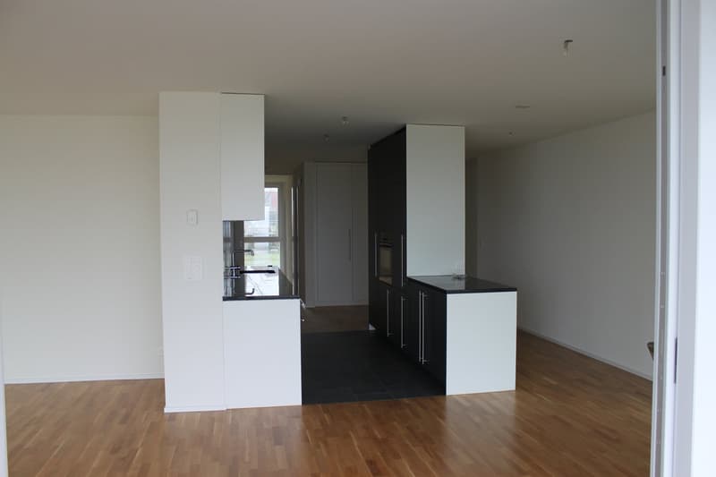 4 1/2 Zimmer-Attikawohnung (3)