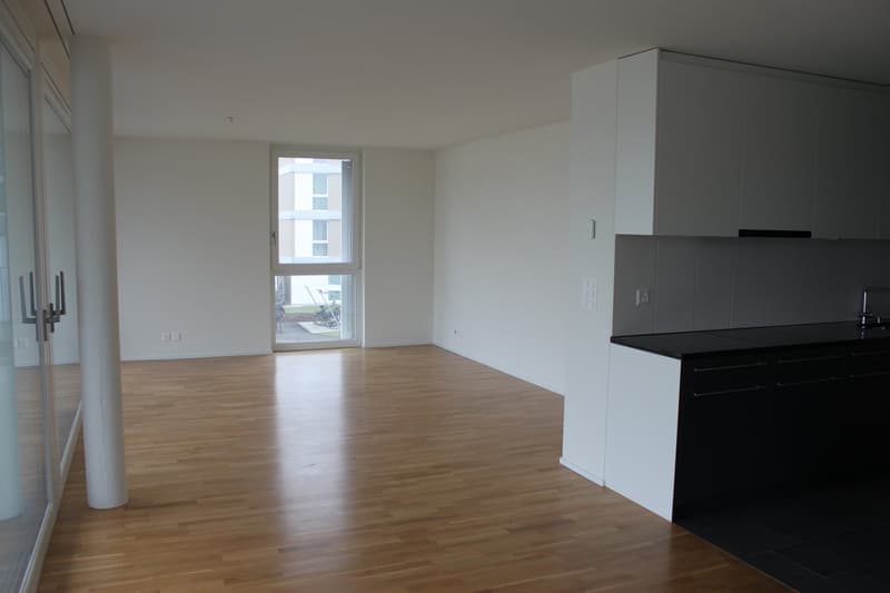 4 1/2 Zimmer-Attikawohnung (4)