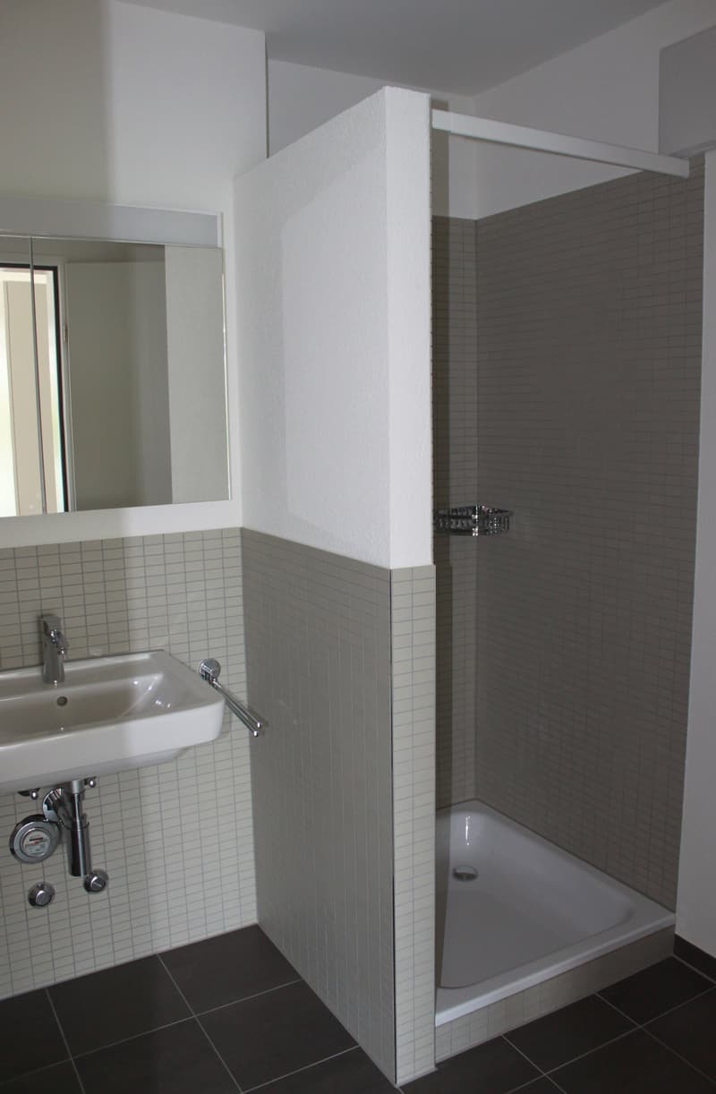 2 1/2-Wohnung mit grossem gedeckten Balkon (7)