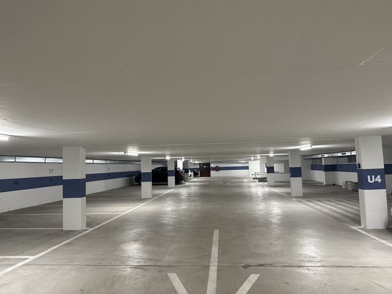 image00016.jpeg