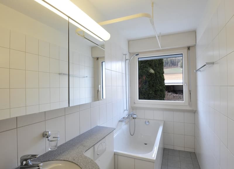 TELLCO_Buchs_Dielsdorferstr.26_0074_4.5_ZWHG.jpg