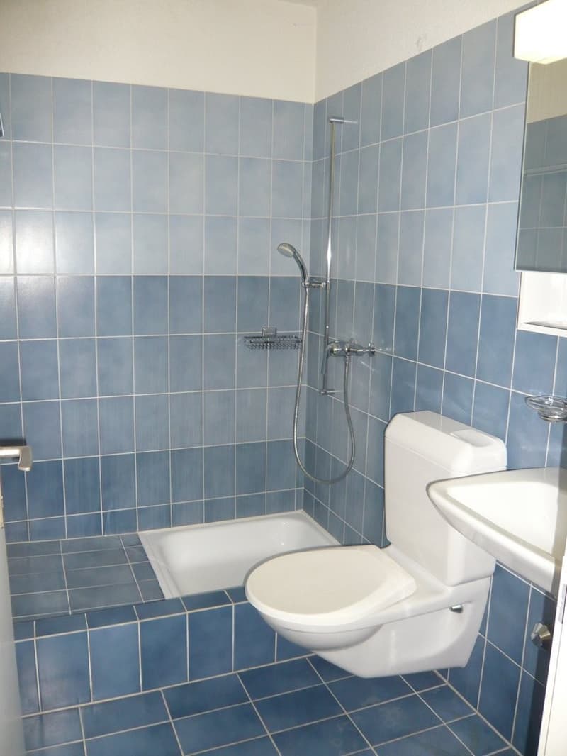 Zuercherstrasse_24_4.5_Maisonette_12.JPG