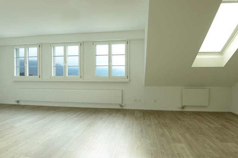 Herrengasse_13__4.OG_4.5Z_3275.jpg