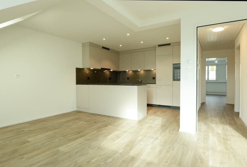 Herrengasse_13__4.OG_4.5Z_3263.jpg