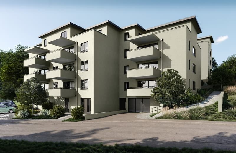 Neubauprojekt-Niederdorf-BL_Aussen-angepasst.jpg