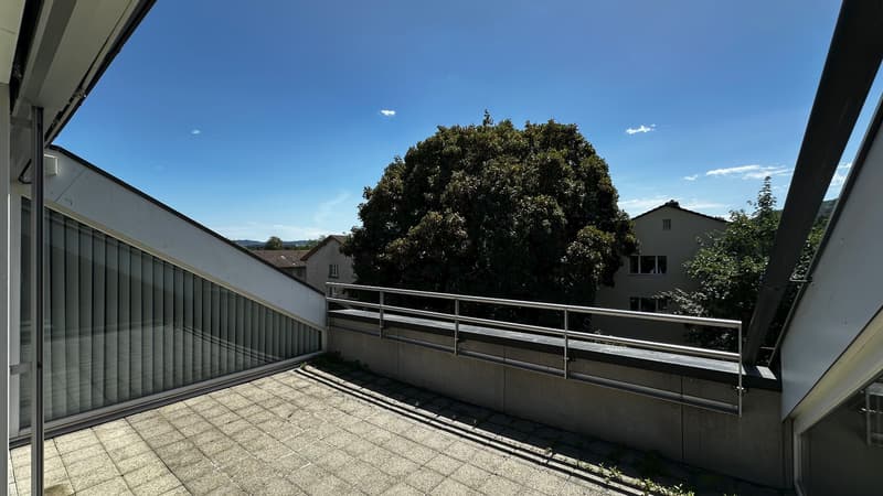 2.5-Zimmer-Dachwohnung im Loftstil zu vermieten (5)