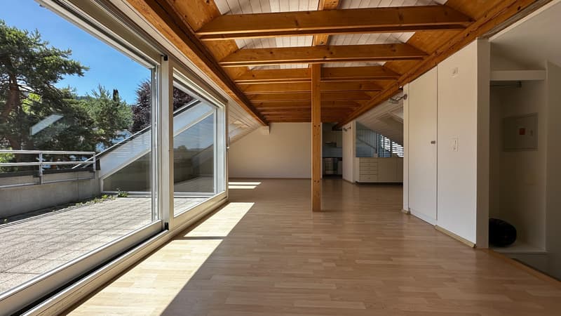 2.5-Zimmer-Dachwohnung im Loftstil zu vermieten (3)