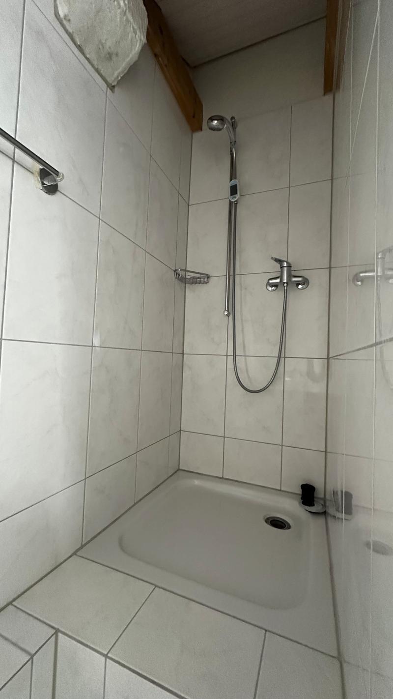 2.5-Zimmer-Dachwohnung im Loftstil zu vermieten (11)