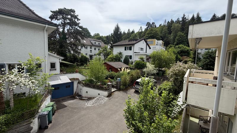 möblierte/unmöblierte 2 ZW mit Kamin in Zürich, befristet 3 Jahre (6)