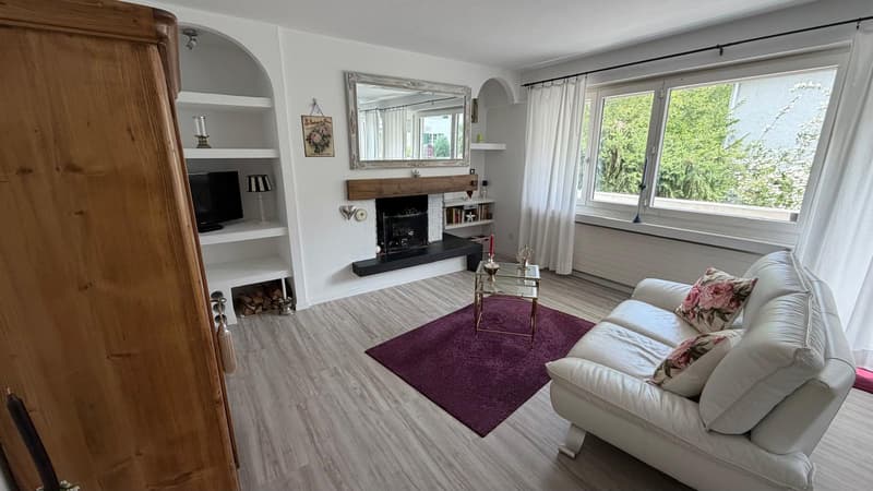 möblierte/unmöblierte 2 ZW mit Kamin in Zürich, befristet 3 Jahre (2)
