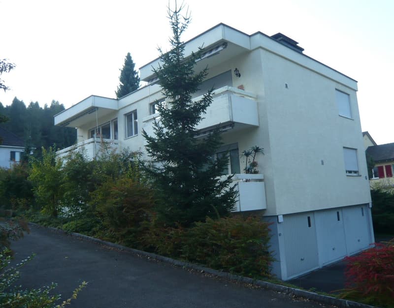 Befristete 2-Zimmer-Wohnung mit Kamin und Balkon in Zürich-Affoltern (1)