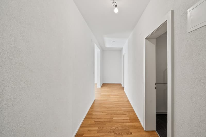3.5-Zimmer-Wohnung in unmittelbarer Nähe zum Unispital ZH zu vermieten (3)