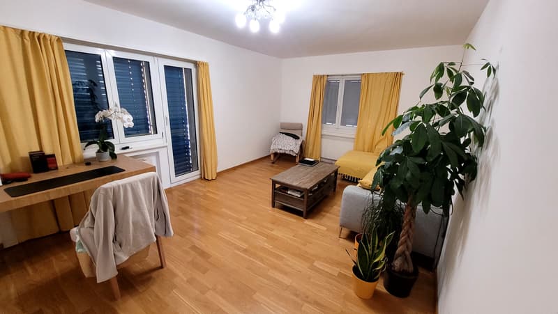 Schöne 3-Zimmerwohnung in Adliswil zu vermieten (2)