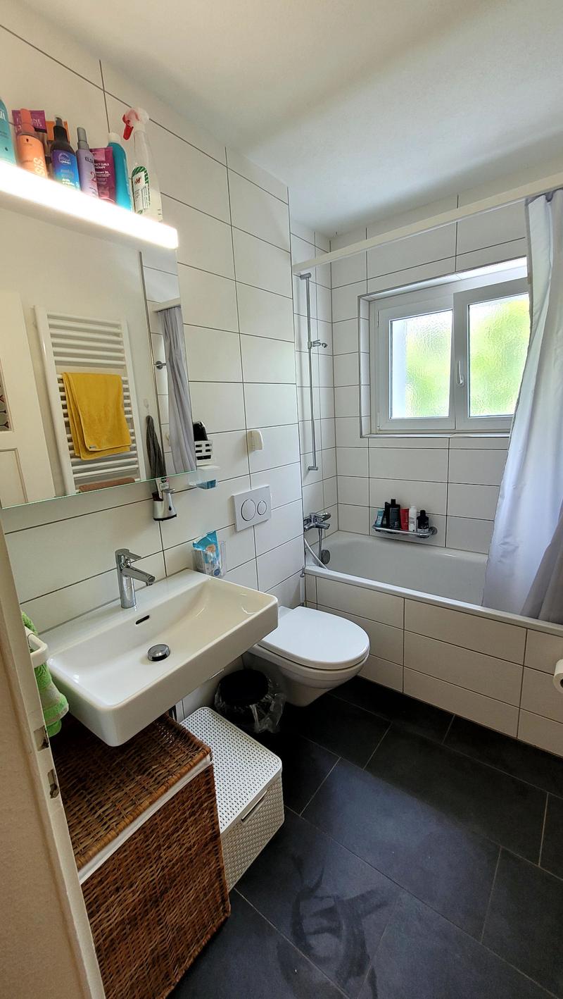 Schöne 3-Zimmerwohnung in Adliswil zu vermieten (6)