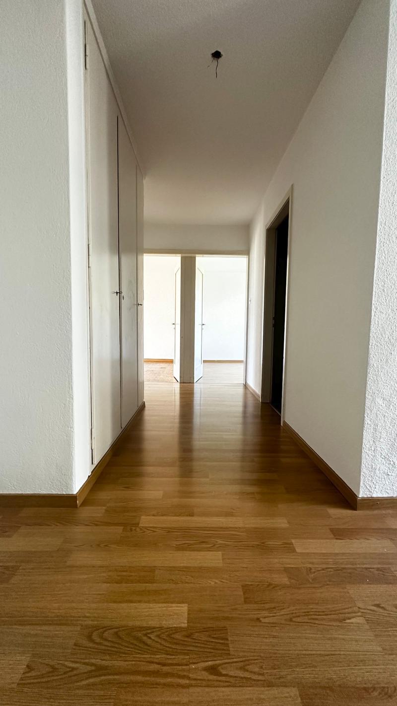 3.5 Zimmer-Wohnung in Wallisellen zu vermieten (3)