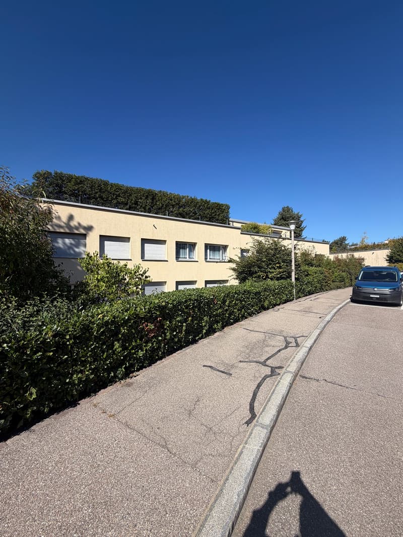 Charmante 3.5-Zimmer-Wohnung mit Balkon und schöner Aussicht in Birmensdorf (2)